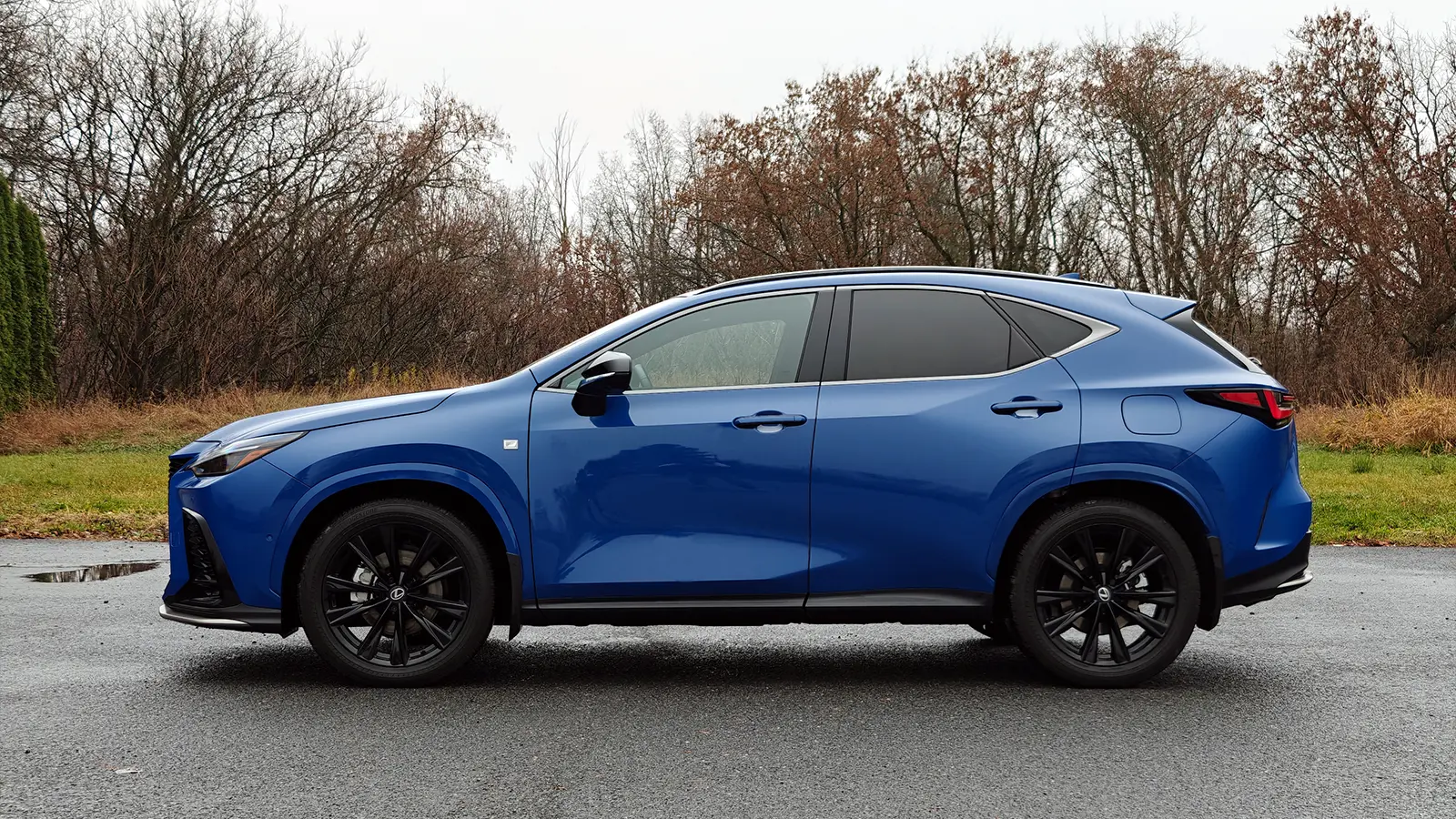 A blue 2026 Lexus NX 350h F Sport side view