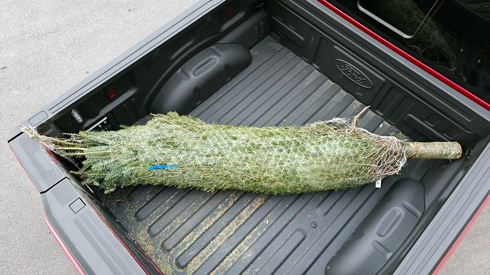 2025 Ford F-150 Powerboost Lariat above view pf cargo payload