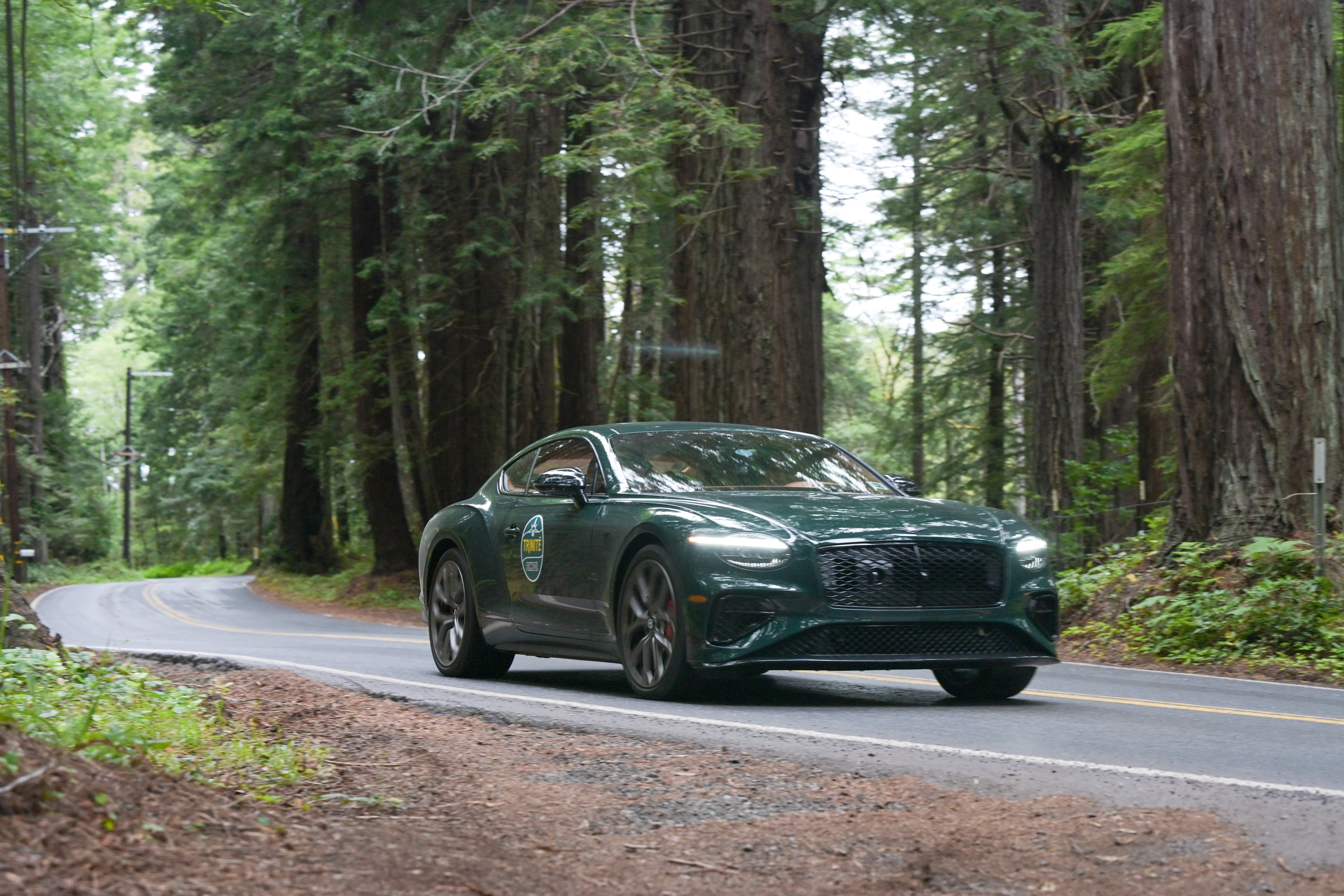2026 Bentley Continental GT S PHEV in a forest road