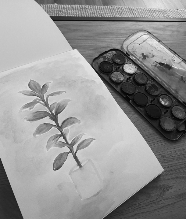 Aquarele painting of a rubber tree