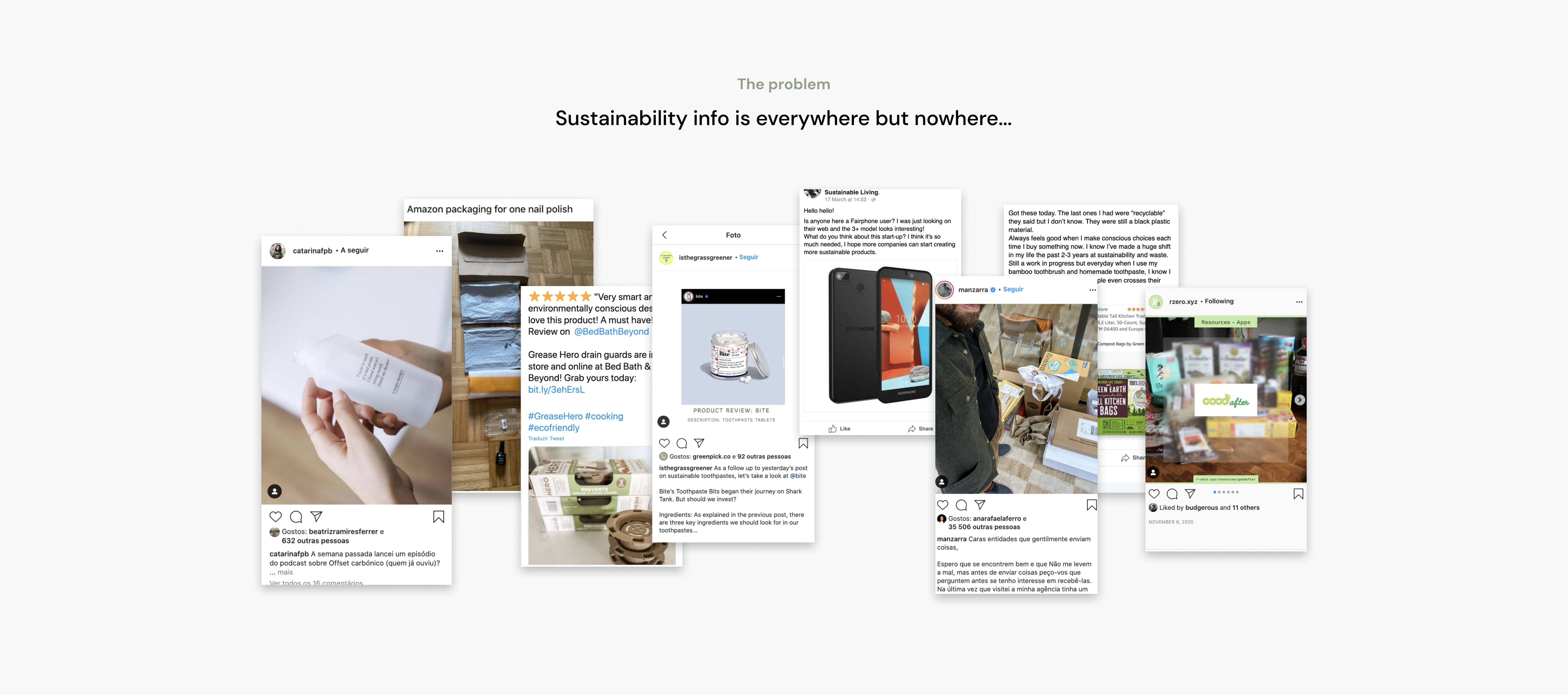 Multiple screenshots of eco-reviews published online in personal accounts or forums