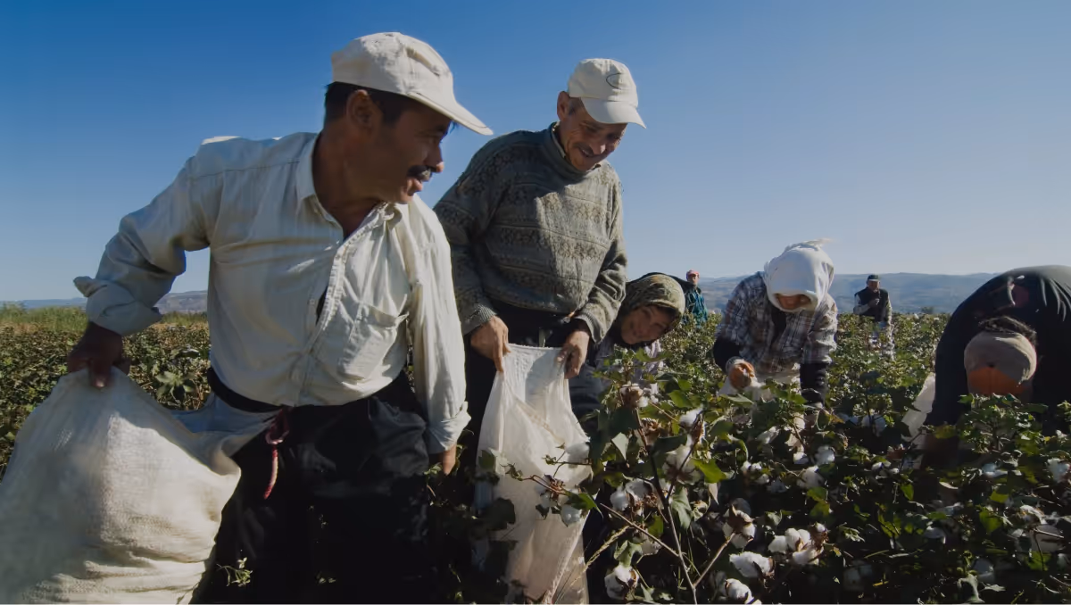 Nudie — Bibbi Sweatshirt