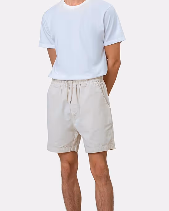 Colorful Standard — Twill shorts