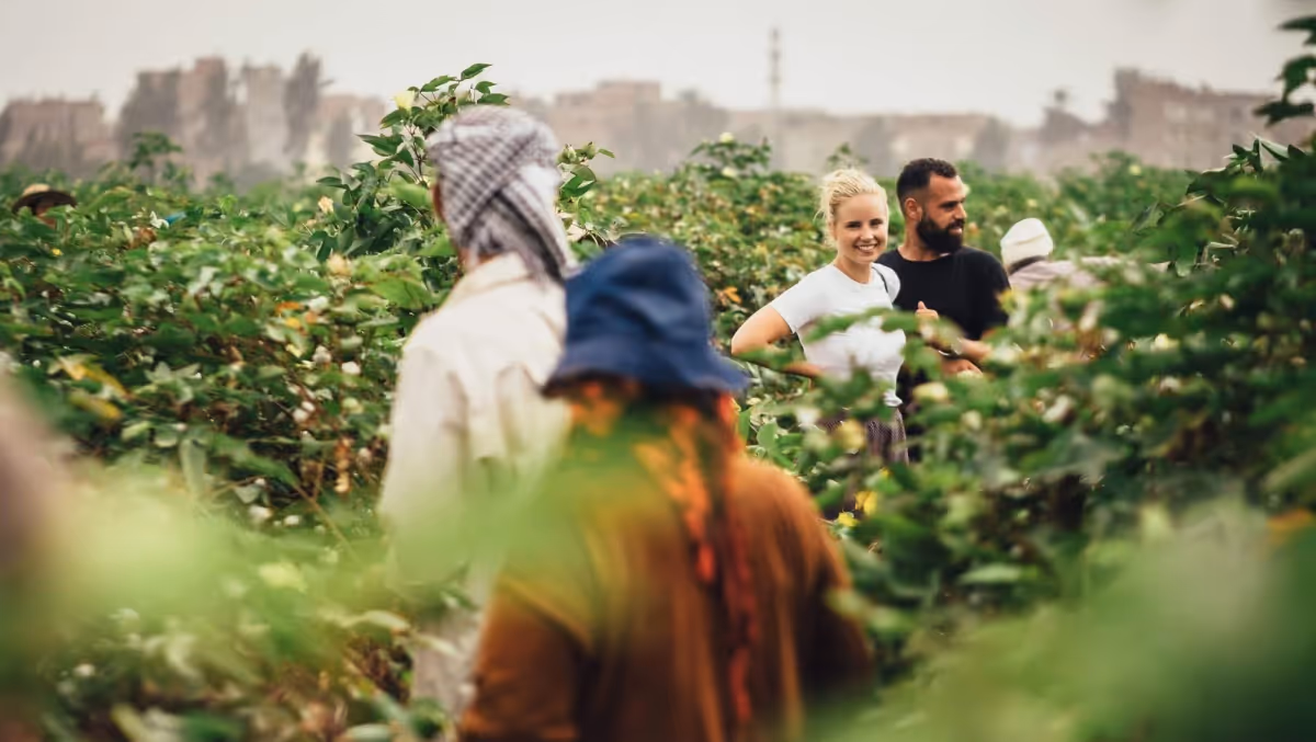 Issue #7 · Kotn, cosy-knits & 5 steps to shop more sustainably