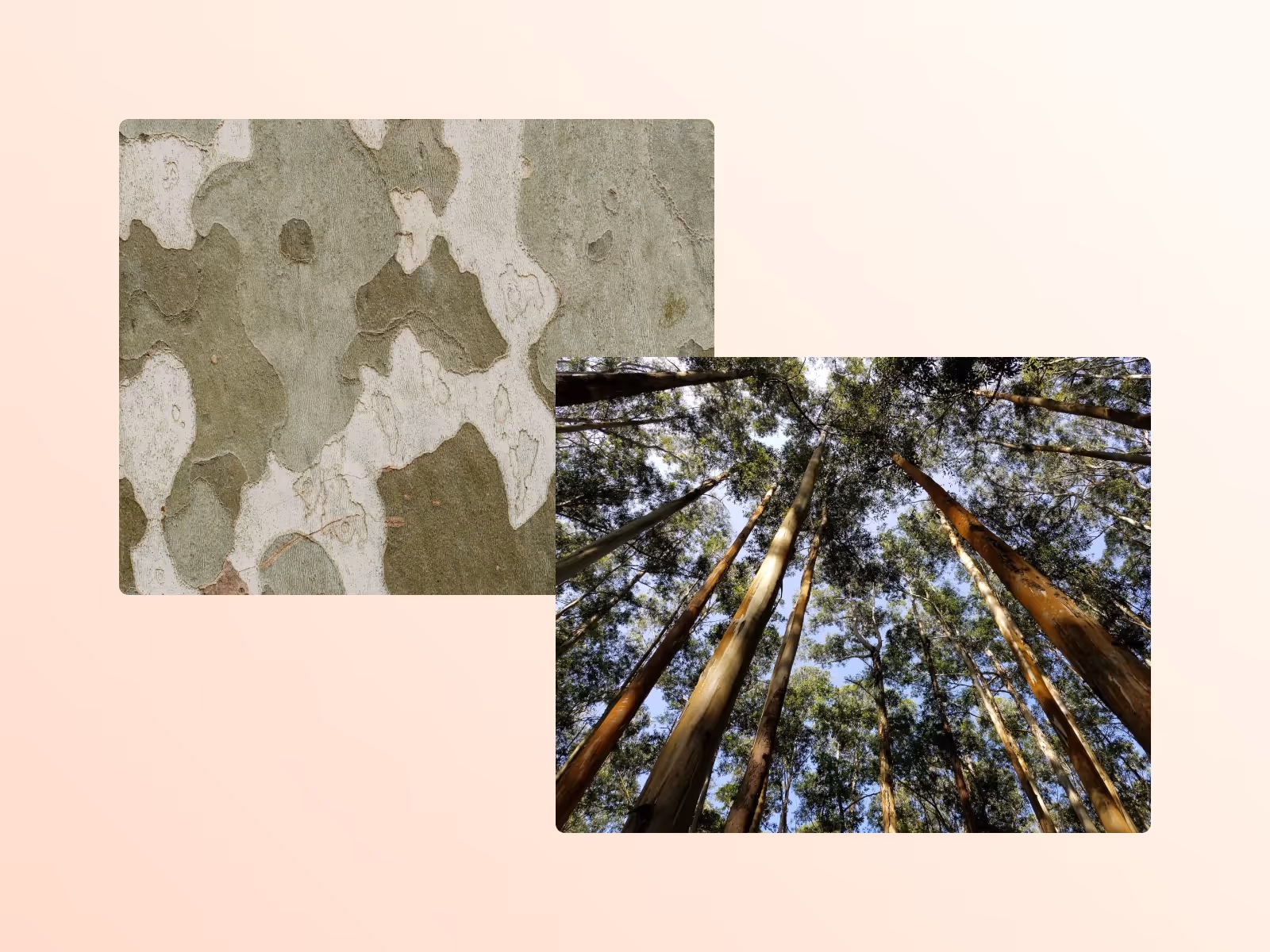 What is Tencel and is it sustainable?