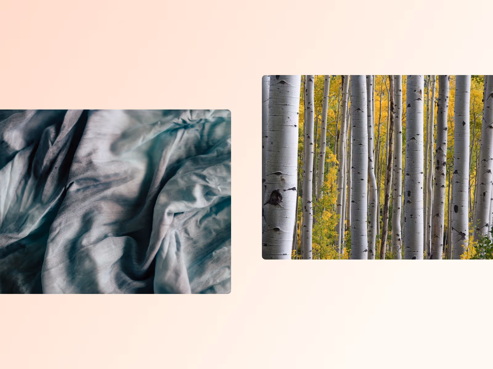 Viscose: is it a sustainable choice for clothes?