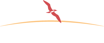 Shearwater Health Grows Hires from Referrals by 307% with Talkpush