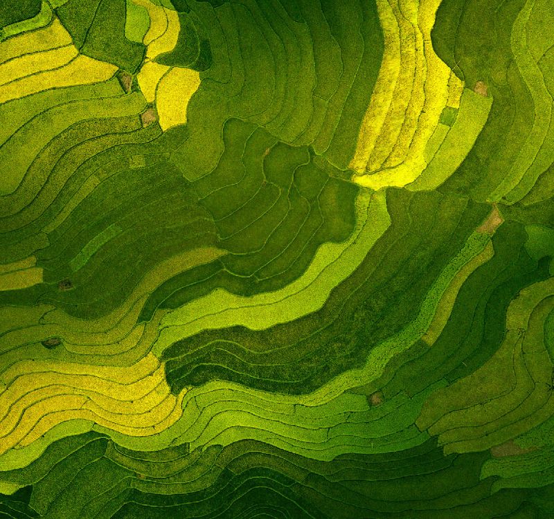 Moody s Ratings Products Second Party Opinion moody-s-ratings-products-second-party-opinion