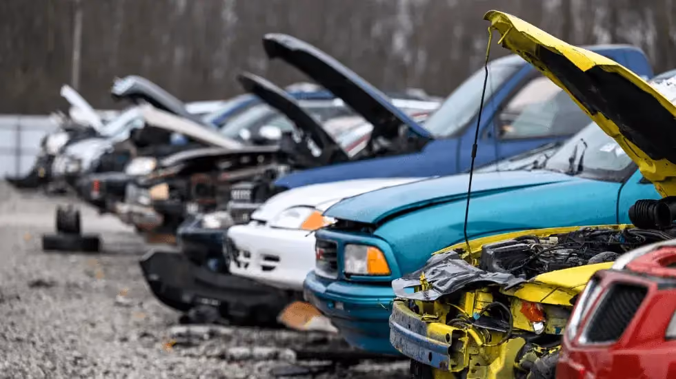 Row of scrap cars in Darwin at a wrecking yard, showing unwanted vehicles ready for recycling and car removal services.