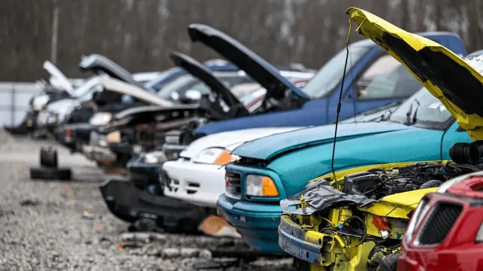 Row of scrap cars in Darwin at a wrecking yard, showing unwanted vehicles ready for recycling and car removal services.