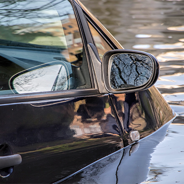 Car side mirror reflecting tree branches on a wet, reflective surface