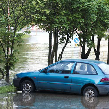 Blue car parked in flooded street surrounded by trees and water