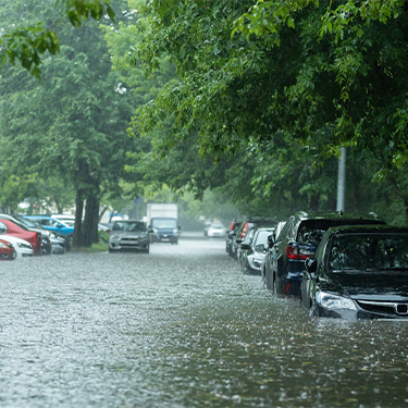 Flooded street with parked cars during heavy rainfall and green trees