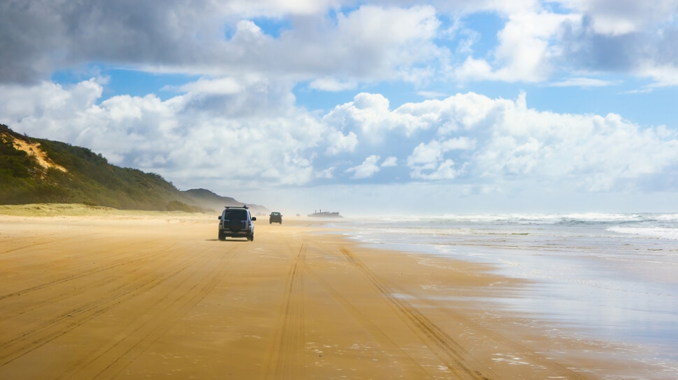 4WD’s driving down the beach in summer.