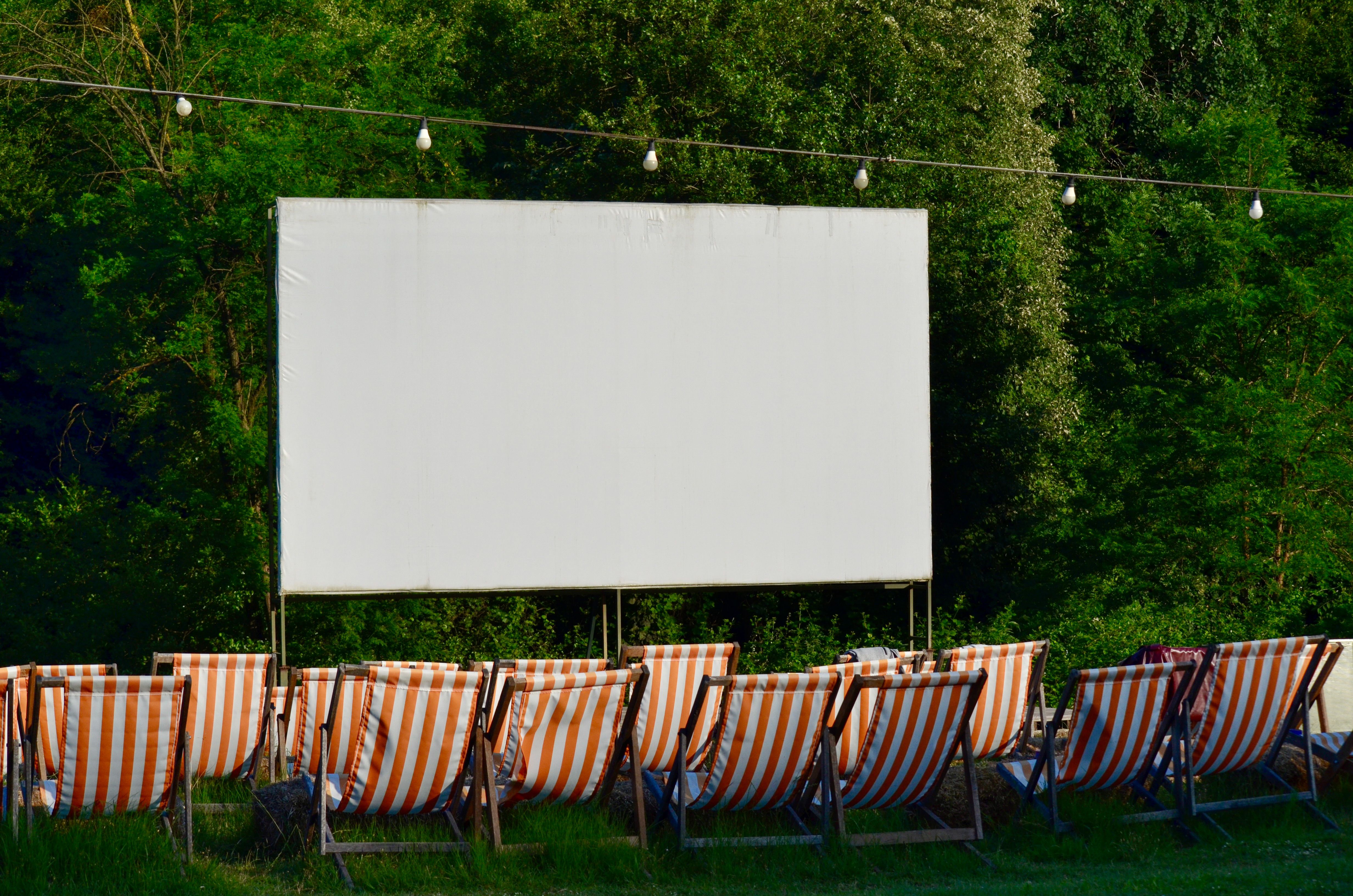 Outdoor screen in park during Summer.