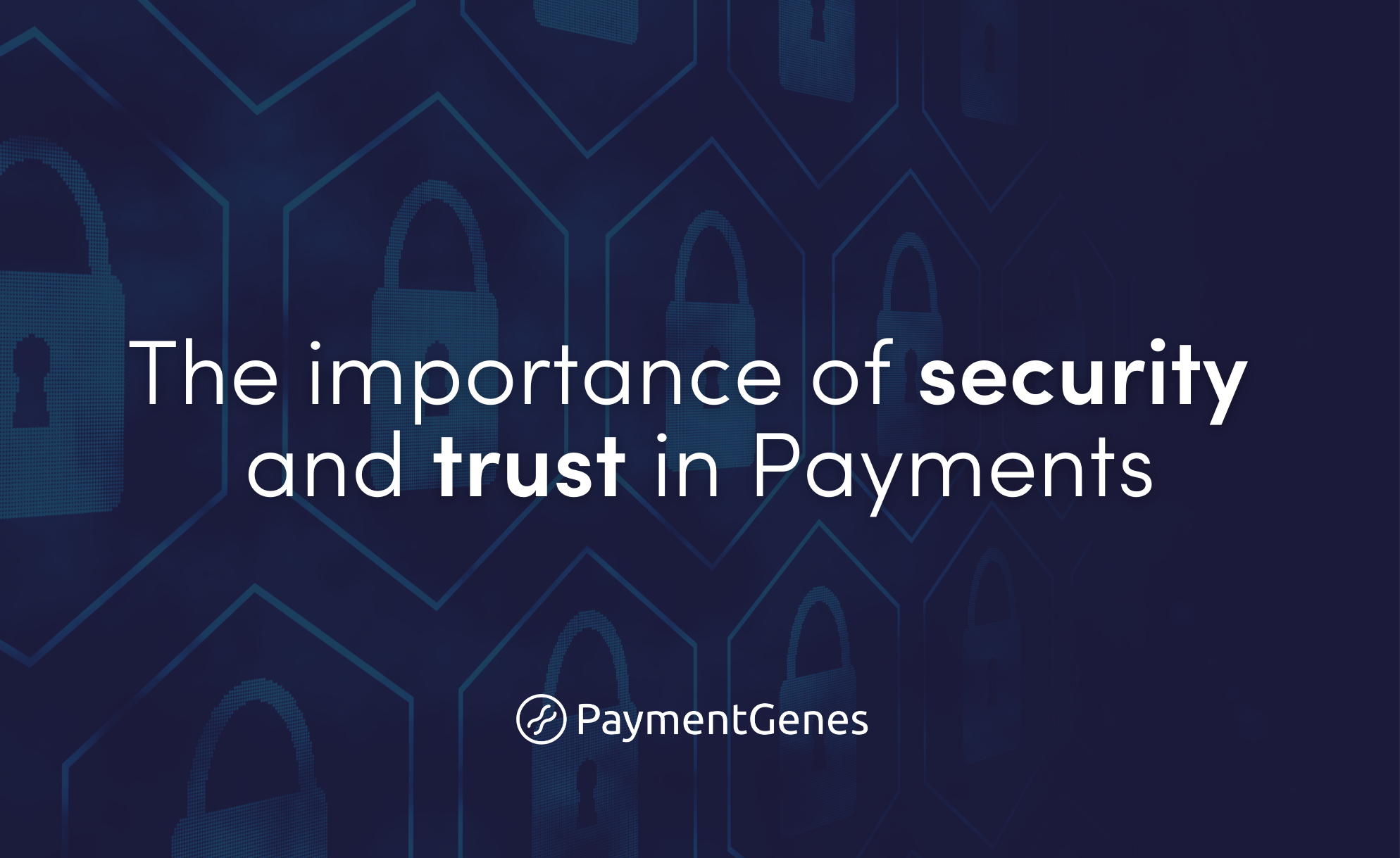 Seamless Europe: What Happened and the Impact on the Payments Industry