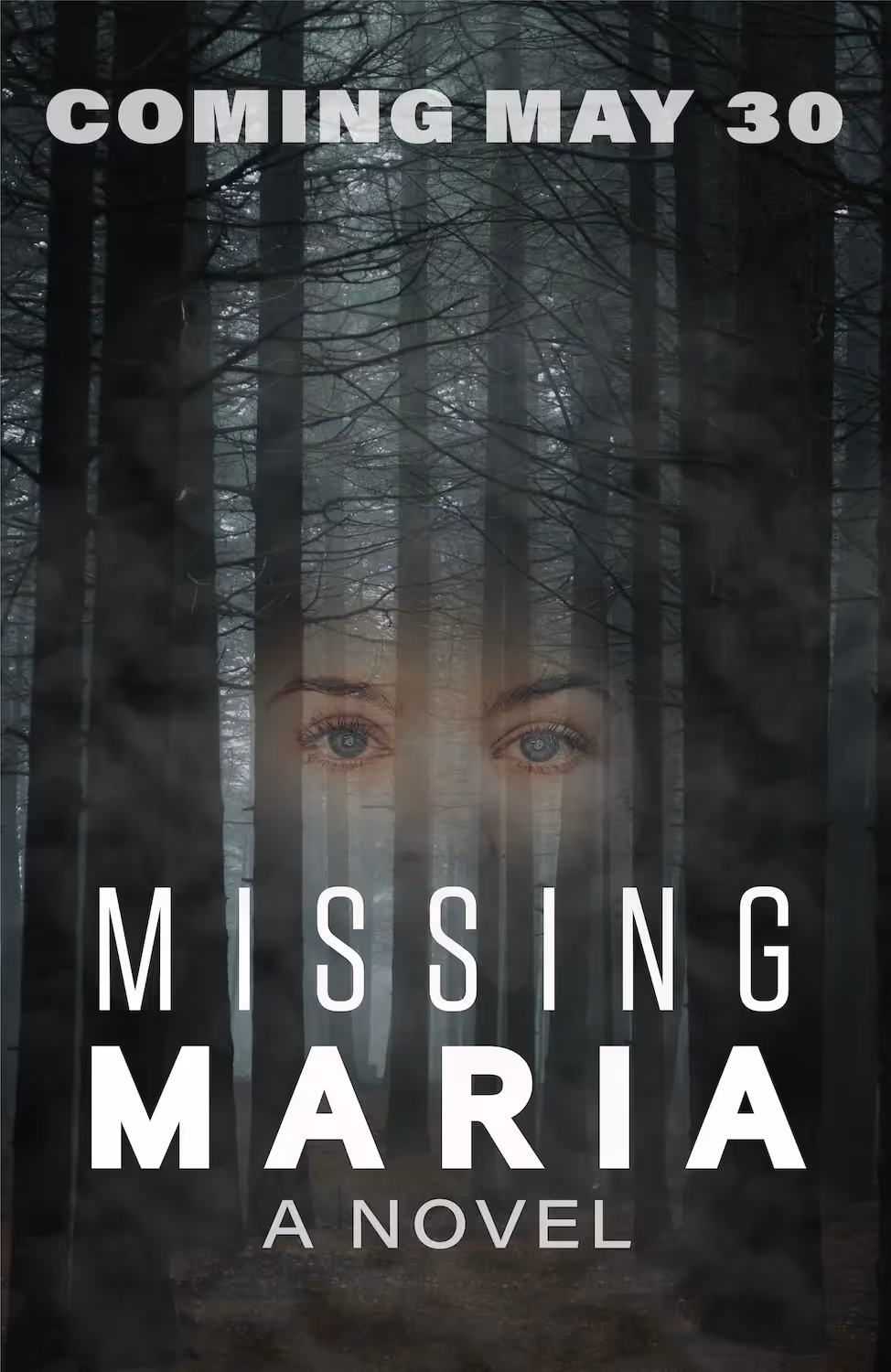 Missing Maria, Thriller, Psychological, Mystery, Fiction, Entertainment, Dark, Missing, Missing Persons, Crime, Trauma, Drama, Little Devil Inside, Winnipeg, Manitoba, Canada, Kindle, Amazon, e-reader, Canadian Author
