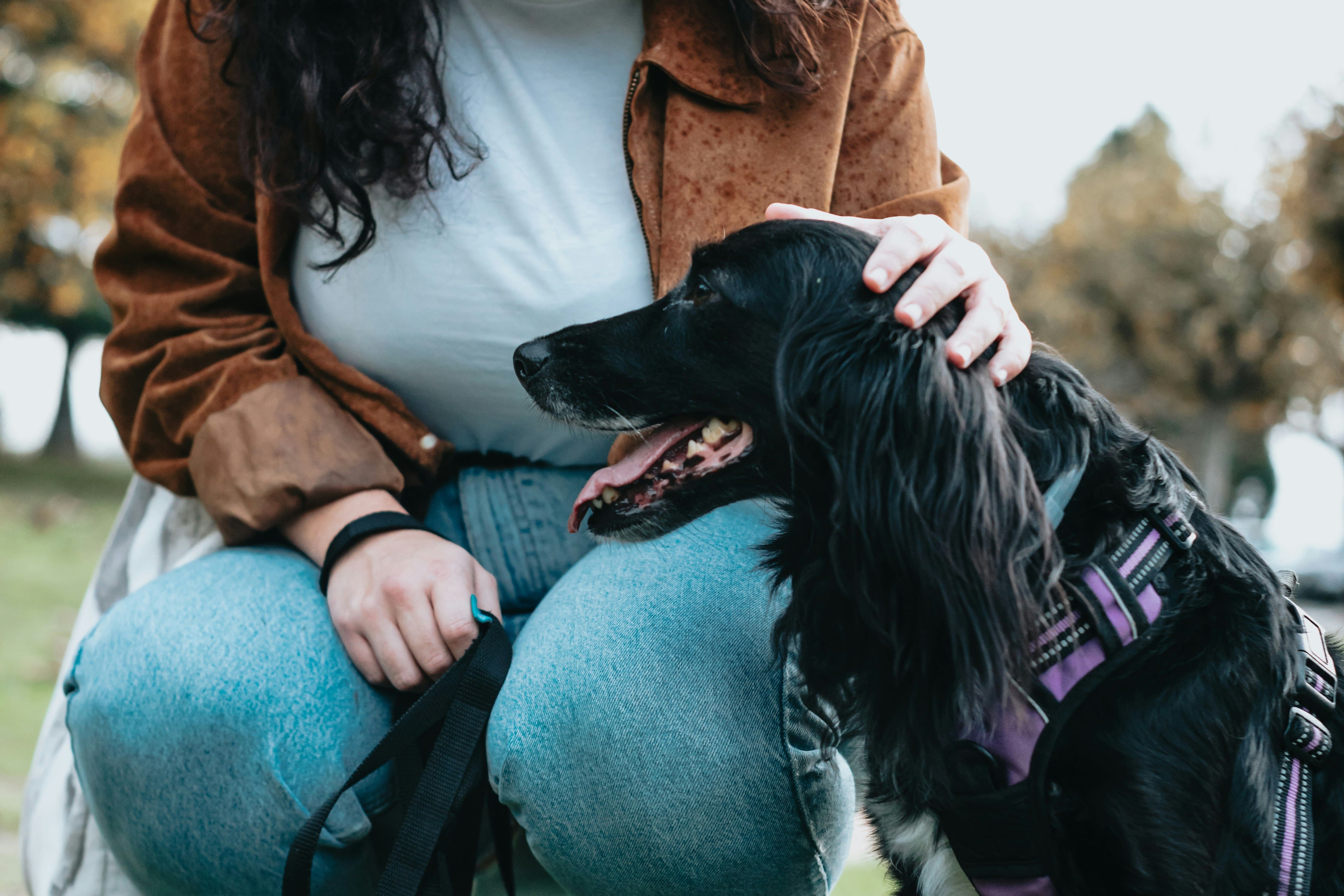 Crémation Phénix - Crémation et produits funéraires pour animaux