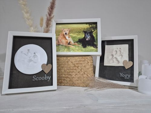 Crémation Phénix - Empreinte pour animaux