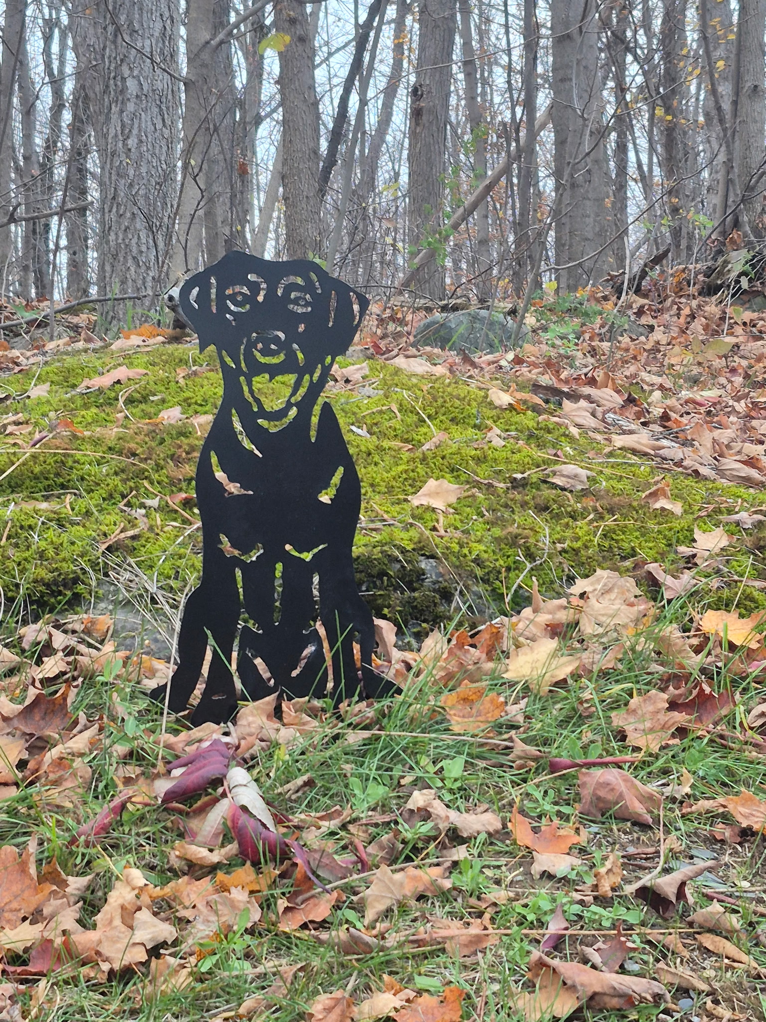 Crémation Phénix - Crémation et produits funéraires pour animaux