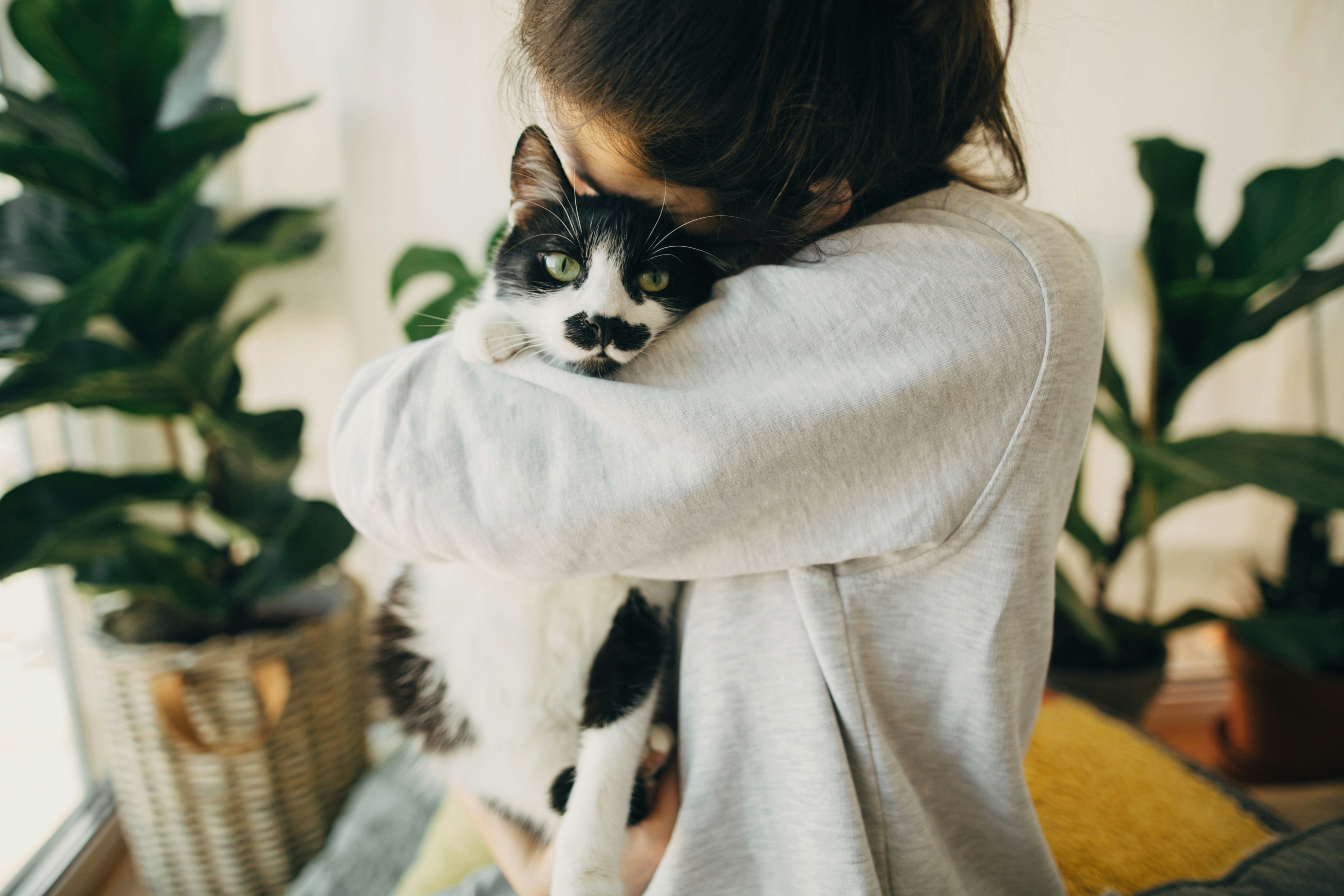 Crémation Phénix - Crémation et produits funéraires pour animaux