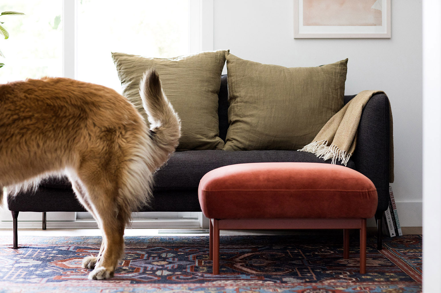 Freeman house example