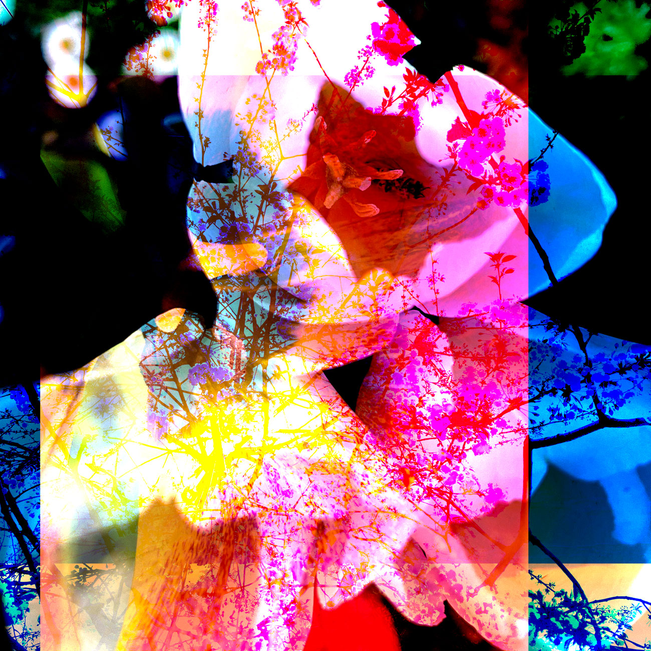 Flowers for AS • 135 x 135 cm (53.15 x 53.15 in)