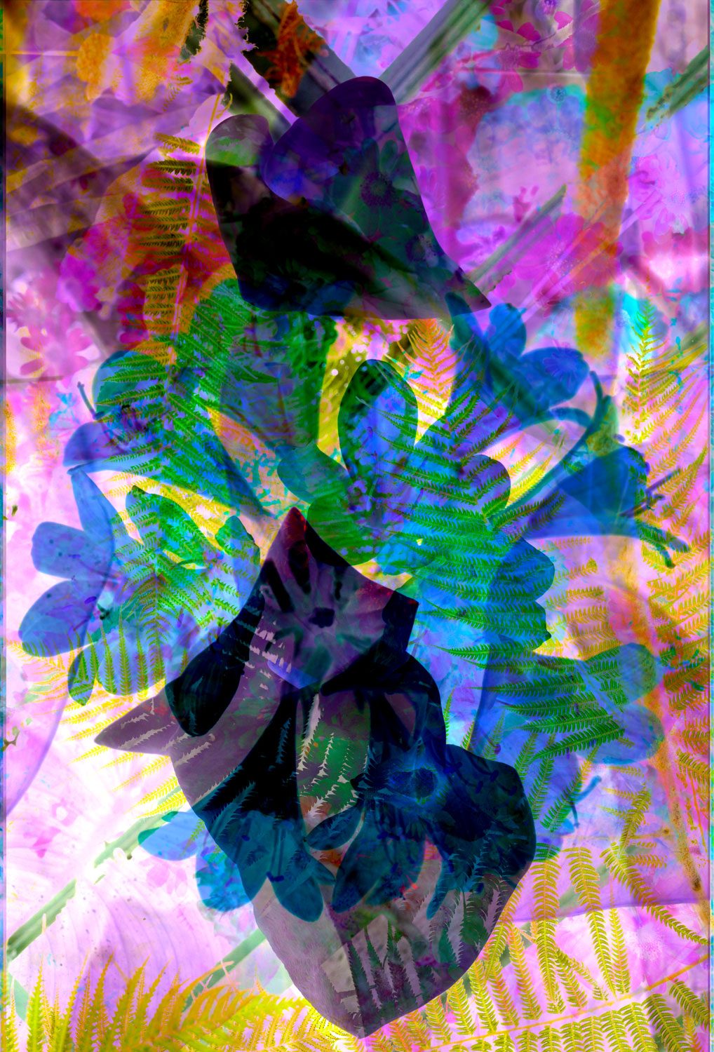 Ōidḗ for WF 02 • 95 x 140 cm (37,40 x 55,12 in)