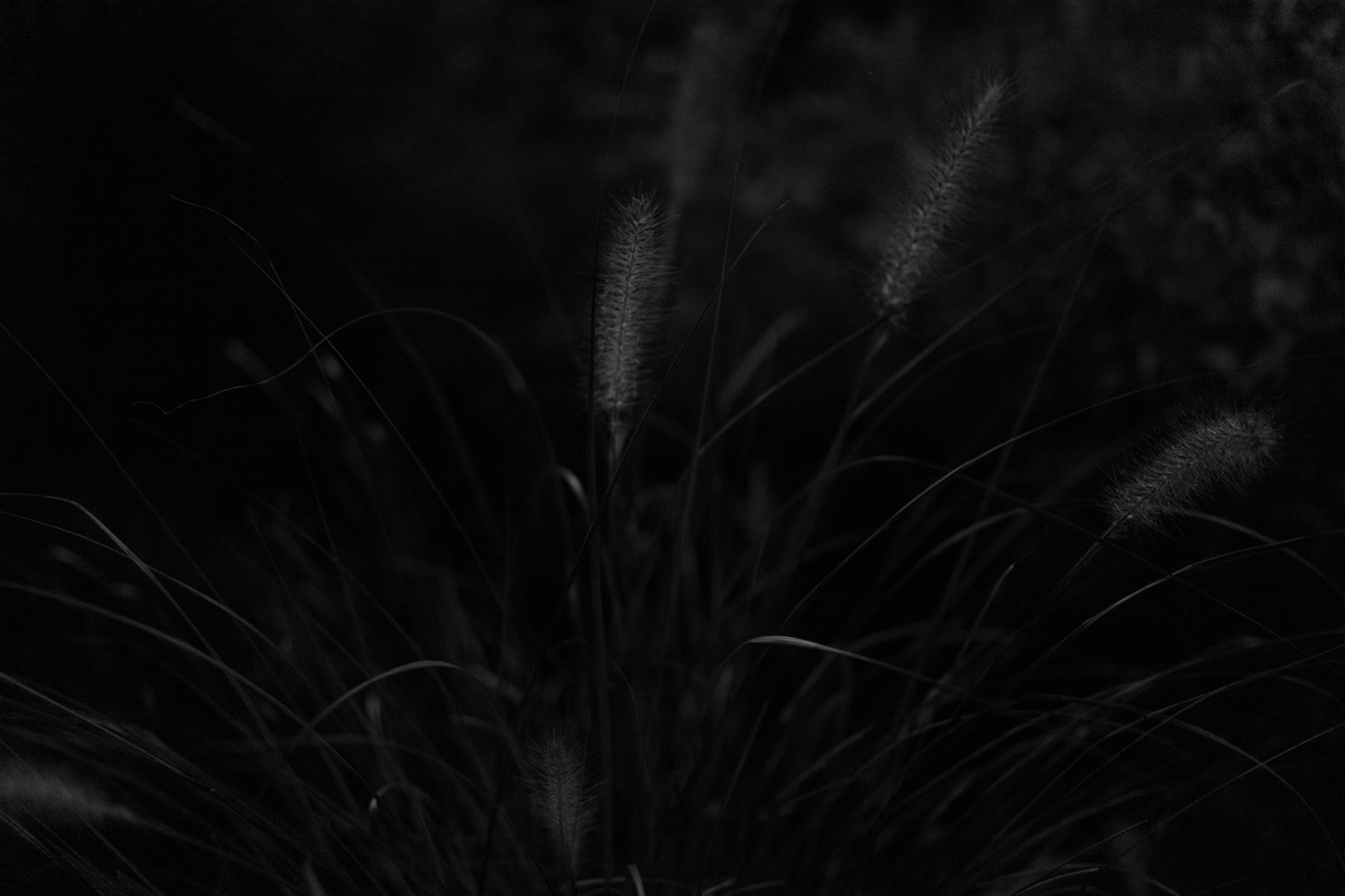 The weightless color 23
