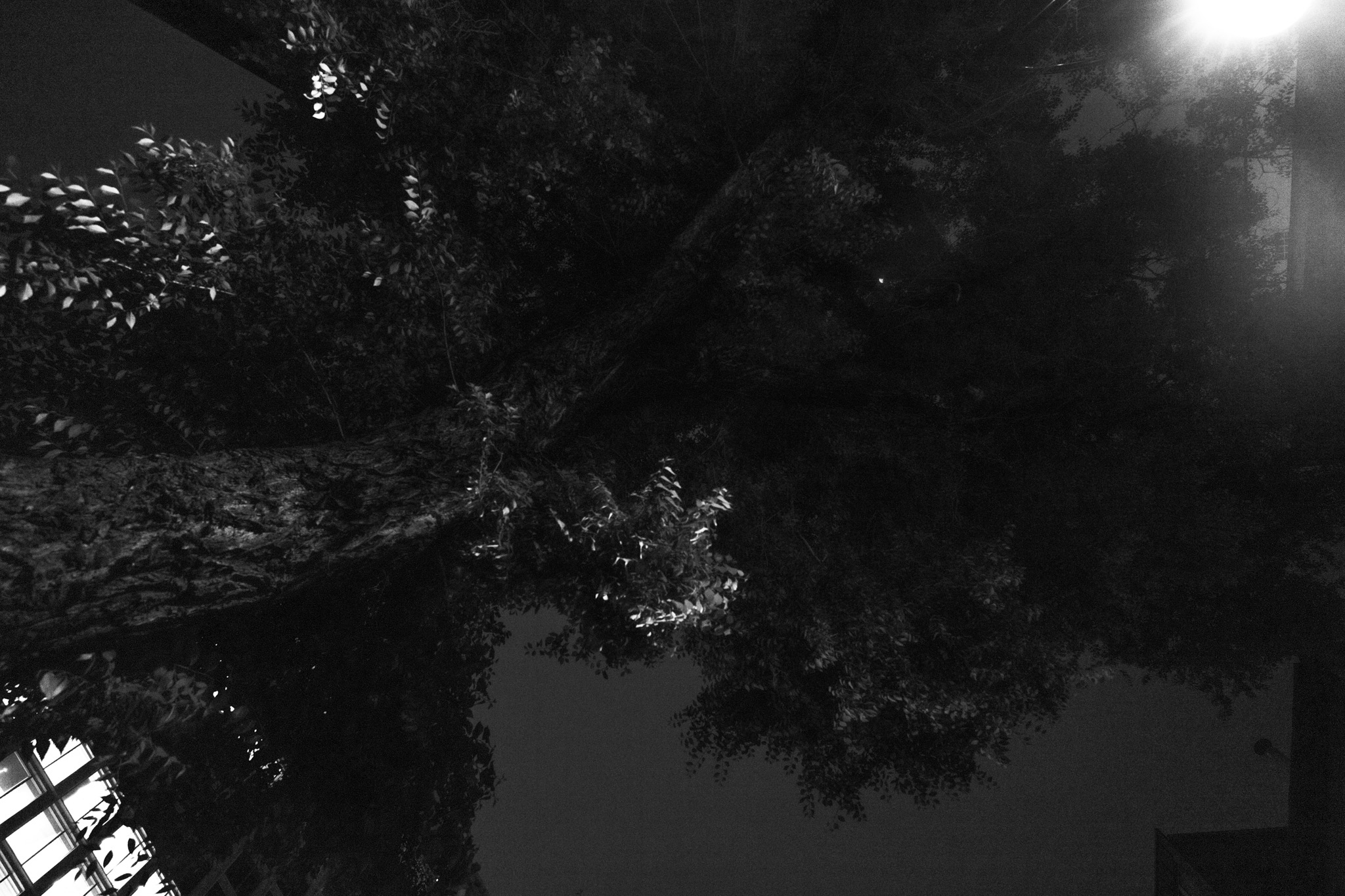 The weightless color 18