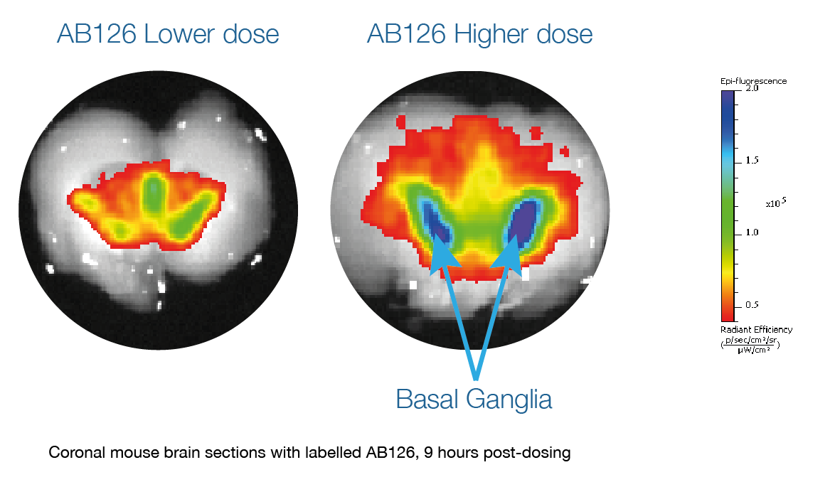 AB126 dosage diagram