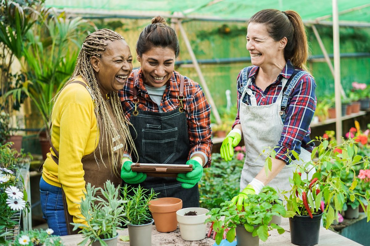 Multiracial women laughing and smilinig working inside greenhouse garden 