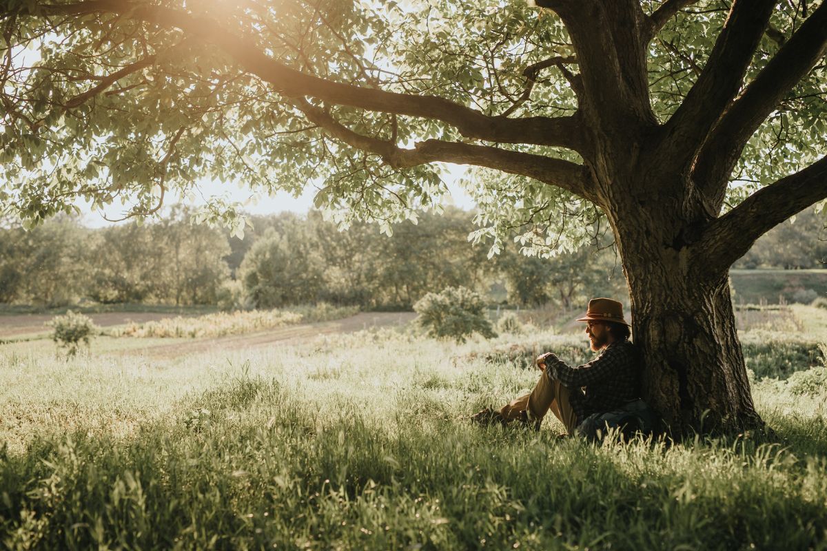 Bearded man relaxing under tree on lush green grass on a bright summer day