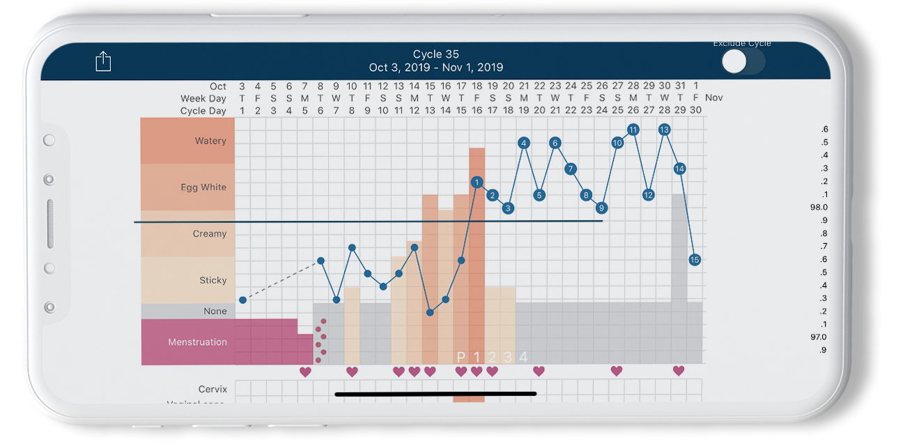 CodigoDelSur built the Kindara app to offer a reliable, user-friendly system for fertility tracking.