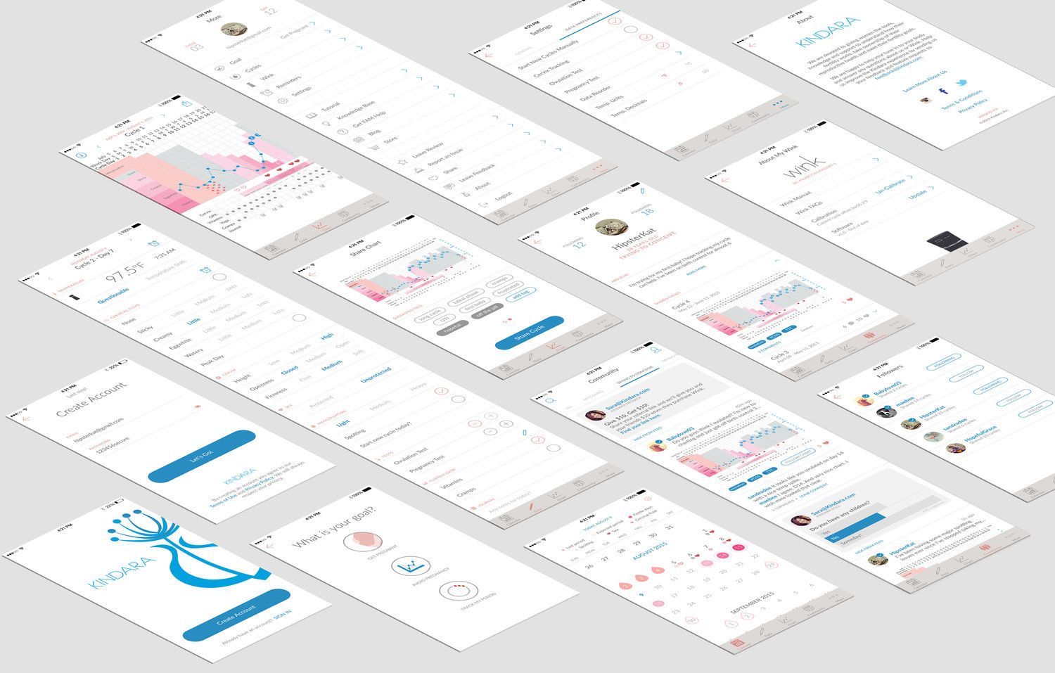 The Kindara app, a CodigoDelSur creation, provides science-backed tools for mastering reproductive health.