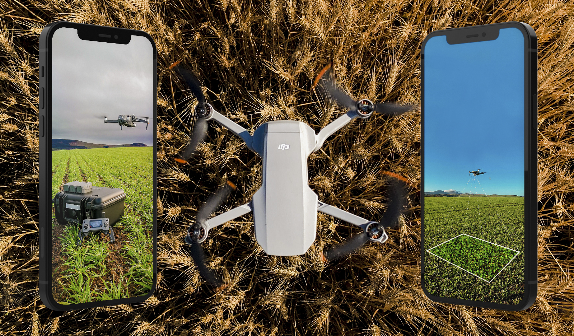The Skippy Scout app, a CodigoDelSur creation, captures high-detail close-up images of crops in minutes.