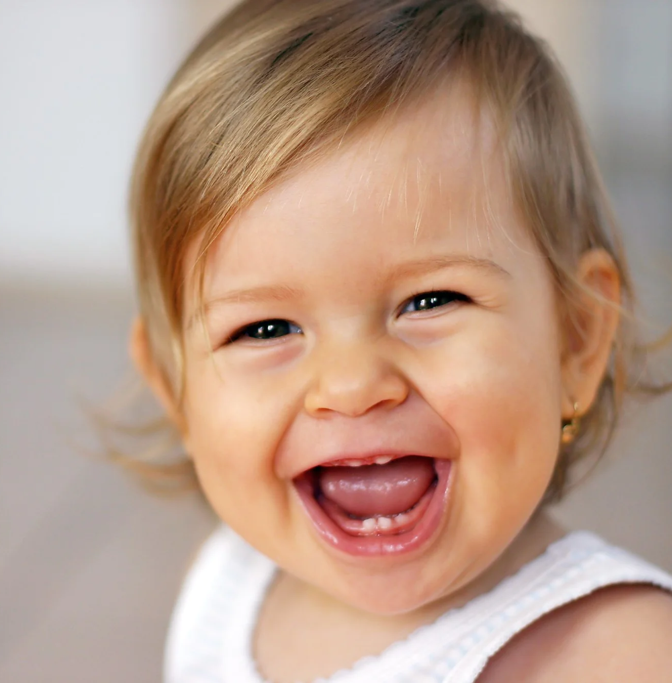 CodigoDelSur's expertise brought Tooth Magic Memory to life, enabling users to create personalized postcards of tooth loss memories.
