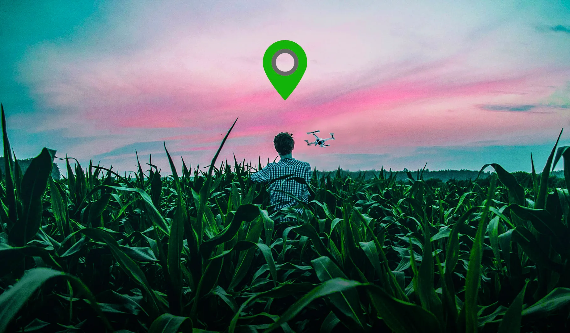 A person flying a drone over a crop field at dusk, with a green map pin marking the scouting location