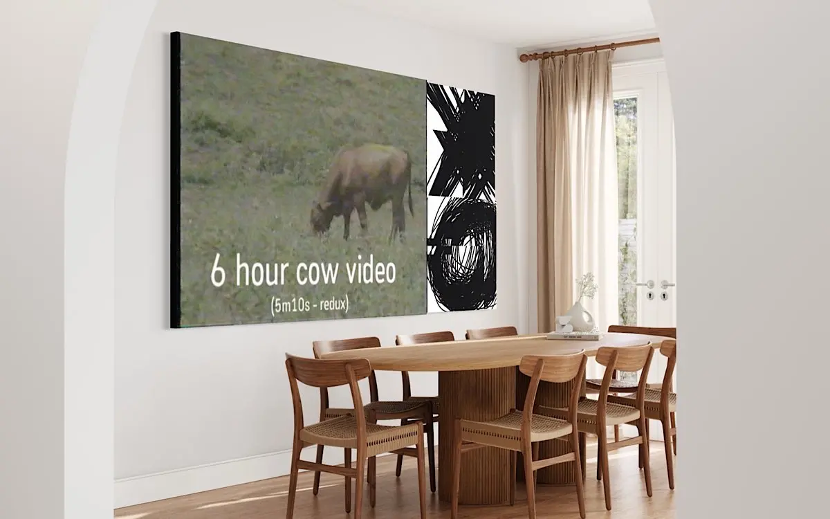 6 hour cow video