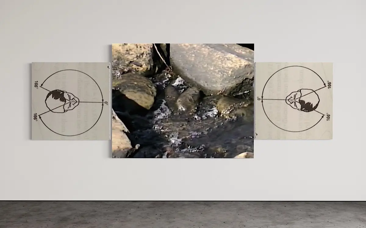 Vision range vision 1