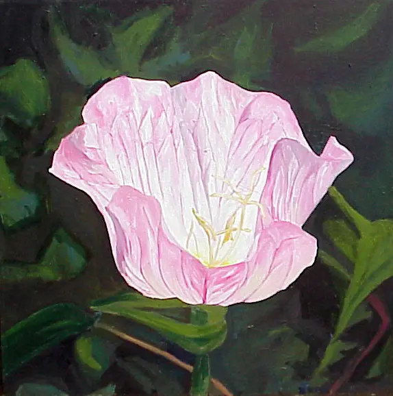 Acrylic on canvas