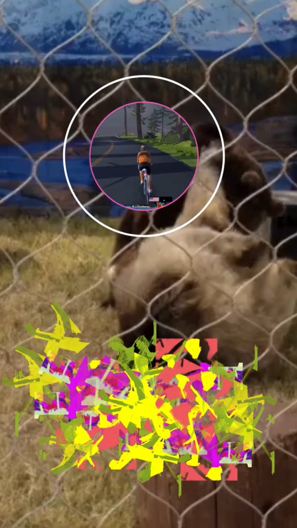 A cyclist in an orange jersey inside a circular overlay, layered on top of a bear behind a chain-link fence with colorful abstractions.