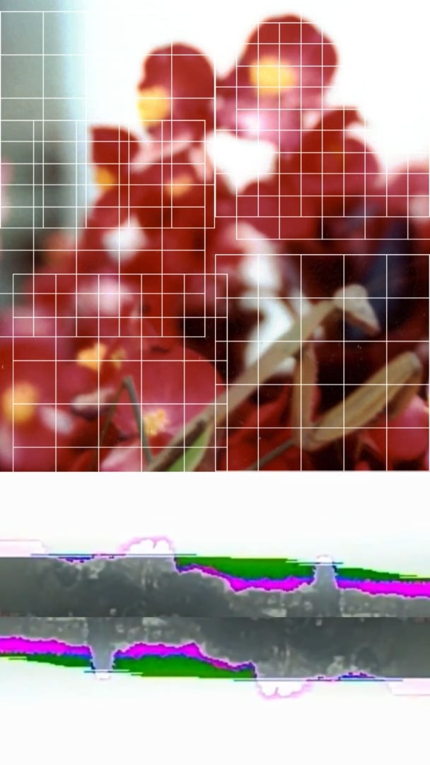Blurry red flower and mantis with dense white grid; neon horizontal glitch seam.