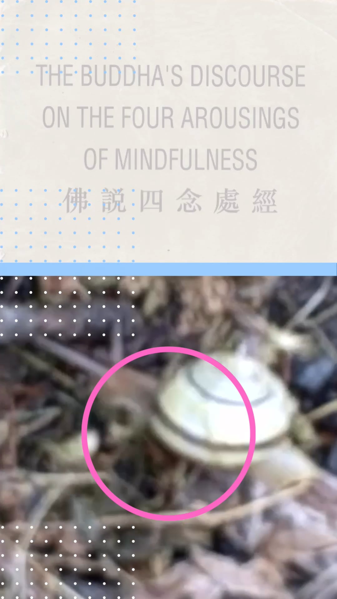 Text about the Buddha’s discourse on mindfulness with a snail circled in pink below.