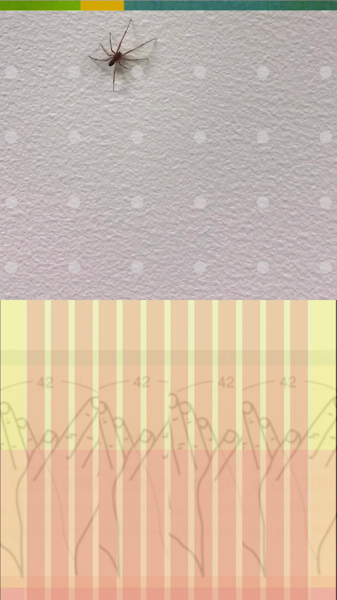A spider on a white wall overlaid with polka dots, combined with illustrations of hands.