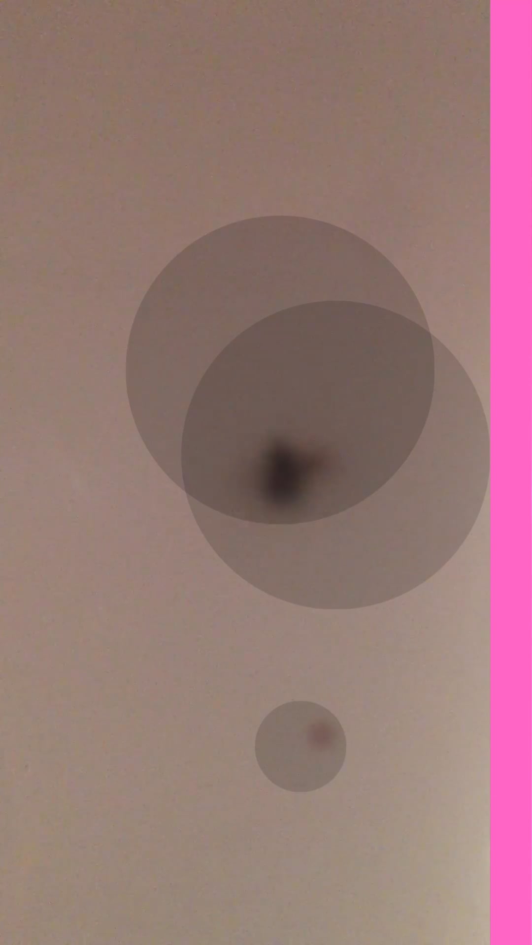 A blurred insect against a beige background with layered translucent circles.