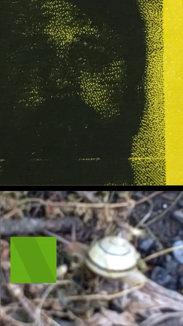Yellow-toned face print paired with a photo of a snail on the ground with a green square nearby.