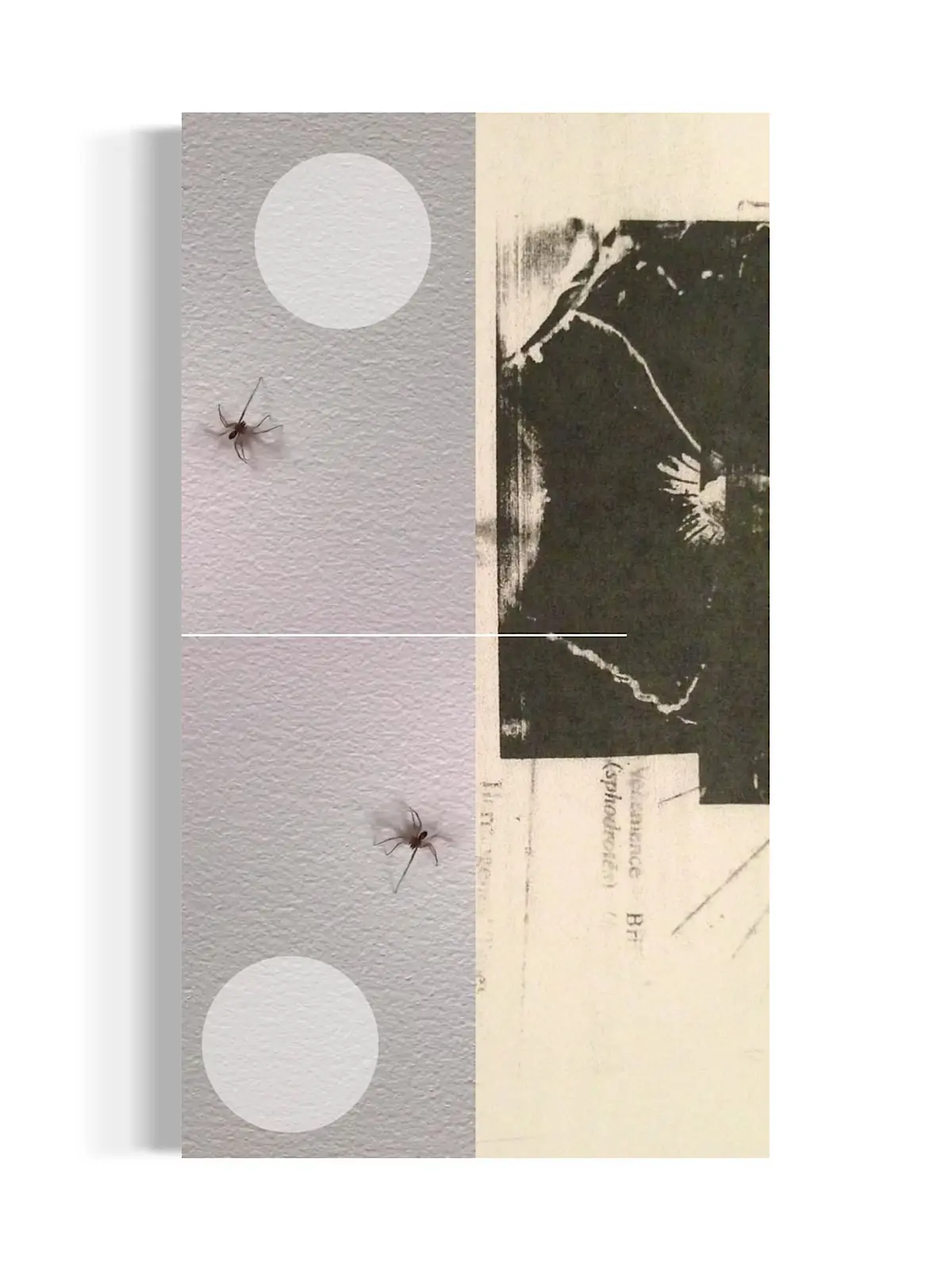 Acrylic & Inkjet on canvas