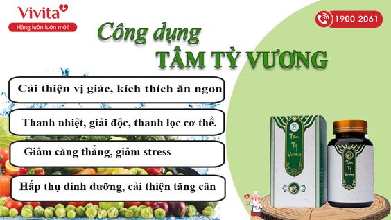 [REVIEW] Tâm Tỳ Vương có tốt không trong việc lấy lại vóc dáng?