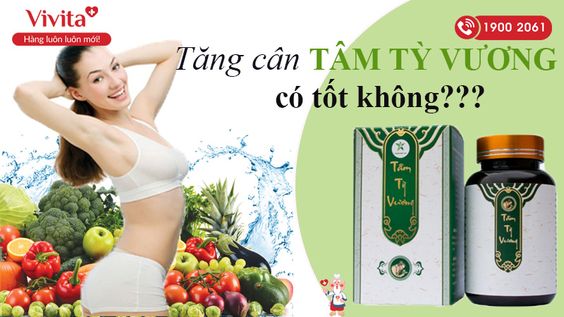 [REVIEW] Tâm Tỳ Vương có tốt không trong việc lấy lại vóc dáng?